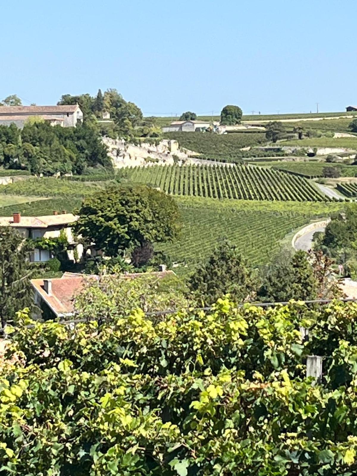 Ferienwohnung Les Logis Des Vignobles Saint Emilion En Duplex N 2 Avec Terrasse Exterior foto